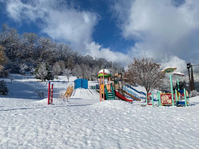12月4日（木）
北レクでは今季“初雪”が降り、約10cmの積雪となりました⛄️✨

傾斜が多い芝生広場は、冬になるとソリ遊びにぴったり！
雪が積もった日は最高のコンディションで楽しめます💡

ソリは 1人乗り・2人乗りを選べて、どちらも1回100円でレンタル可能 です🛷✨
お気軽にお声がけください😊
ぜひ冬の北レクを満喫してください❄️

#北レク
#北部スポーツレクリエーションパーク
#雪遊び
#ソリ遊び