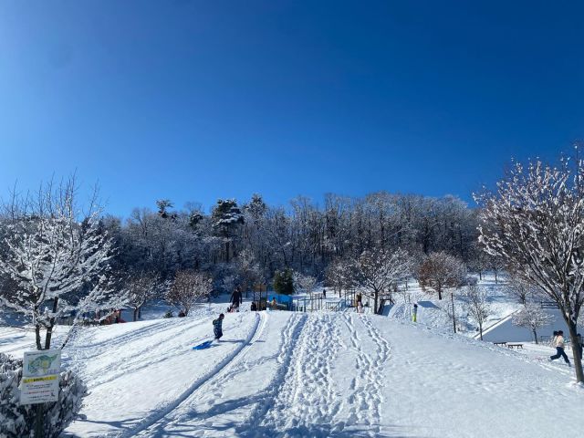 雪がふかふかの北レクです❄️
今日はソリ遊びを楽しんでいる姿がたくさん見られます🛷✨
大人も子どもも一緒に楽しめて、笑顔いっぱい😊
お天気も良く、外にいるだけで気持ちいいですよ💡

ソリは
・1人乗り
・2人乗り
どちらも【100円】でレンタルしています！

ぜひ遊びに来てください⛄️❄️

#北部スポーツレクリエーションパーク
#北レク
#そり遊び
#大人も子どもも楽しめる