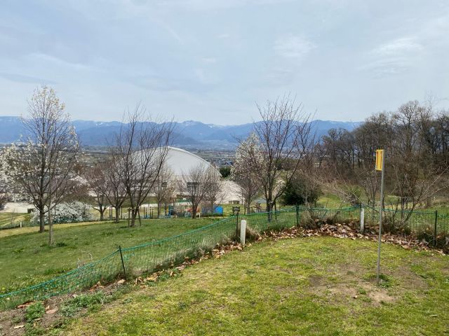 北レクのマレットゴルフコースが、4月よりオープンいたしました☺︎

春の訪れとともに、花々も少しずつ顔を出し始めています。
さくらやユキヤナギ、コブシが美しく咲いています。

マレットゴルフを楽しみながら、ぜひ春のお花もお楽しみください。

⭐︎マレットゴルフ利用料金⭐︎
一般：300円
シルバー・高校生：200円
小学生：100円

用具レンタル：100円

通年券も販売しておりますので、ぜひご利用ください。

#北部スポーツレクリエーションパーク
#北レク
#マレットゴルフ